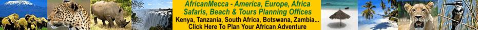 africa wildlife safari in kenya
