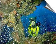 deep sea diving - coral diving - world diving resorts - kenya diving resorts -  africa - diving resorts - onboard diving