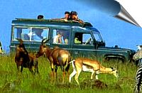 mount kenya national park in africa
