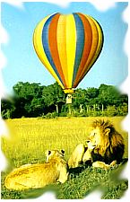 masai mara safari in kenya africa