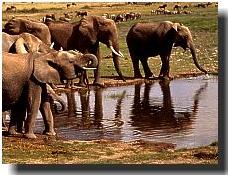 aberdares lodges, camps & accommodation in kenya