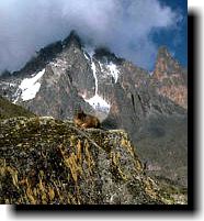 MOUNT KENYA CLIMBING